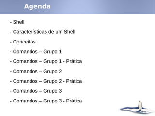 Linux - Shell e Comandos Básicos