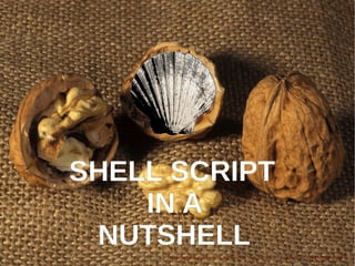 SHELL SCRIPT
IN A
NUTSHELL
https://commons.wikimedia.org/wiki/File:Noix_Fernor_Cl_J_weber06_(23675300905).jpg
 