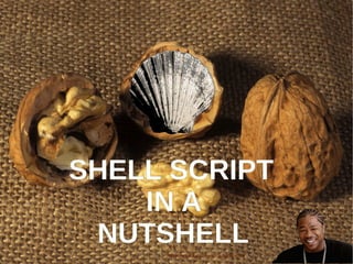 SHELL SCRIPT
IN A
NUTSHELL
http://www.dublinconcerts.ie/band/xzibit/
 