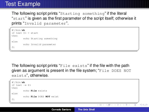 Shell intro essay 07 picture