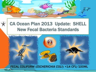 CA Ocean Plan 2013 Update: SHELL
New Fecal Bacteria Standards

FECAL COLIFORM (ESCHERICHIA COLI): <14 CFU/100ML

 