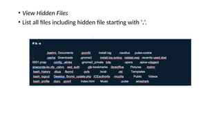 • View Hidden Files
• List all files including hidden file starting with ‘.‘.
 