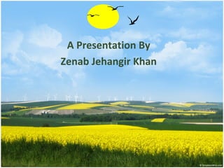 A Presentation By
Zenab Jehangir Khan
 