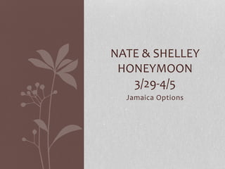Jamaica Options
NATE & SHELLEY
HONEYMOON
3/29-4/5
 