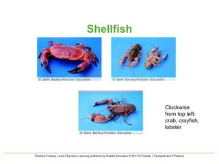 Shell Fish Lcm Shellfish intro | PPT