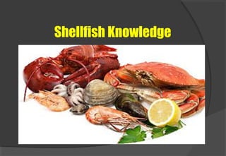 Shellfish Knowledge
 