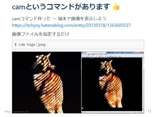 ターミナルに画像を表示する