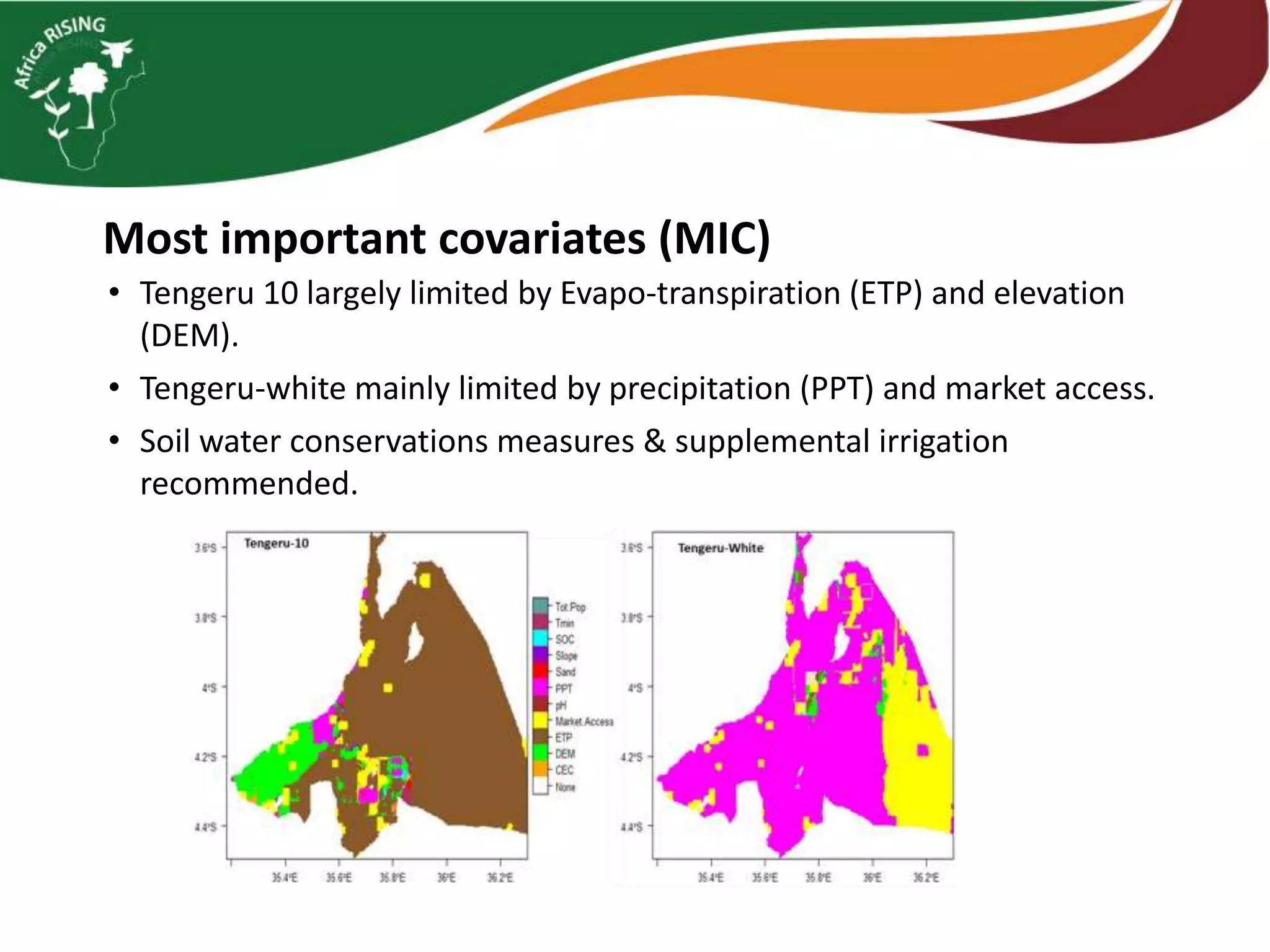 Most important covariates (MIC)
• Tengeru 10 largely limited by Evapo-transpiration (ETP) and elevation
(DEM).
• Tengeru-white mainly limited by precipitation (PPT) and market access.
• Soil water conservations measures & supplemental irrigation
recommended.
 