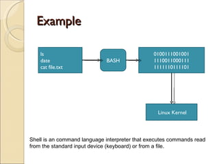 Example ls date cat file.txt BASH 0100111001001 1110011000111 1111110111101 Linux Kernel Shell is an command language interpreter that executes commands read  from the standard input device (keyboard) or from a file. 