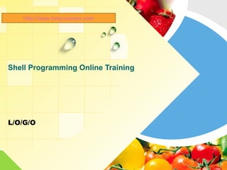 L/O/G/O
Shell Programming Online Training
http://www.todycourses.com
 