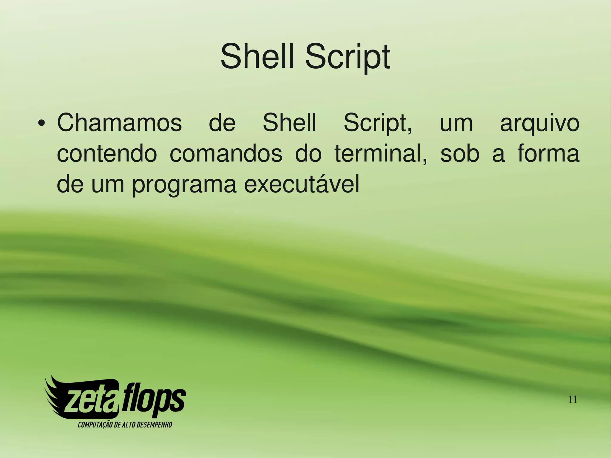 Shell Script
●   Chamamos  de  Shell  Script,  um  arquivo 
    contendo  comandos  do  terminal,  sob  a  forma 
    de um programa executável




                                                   11
 