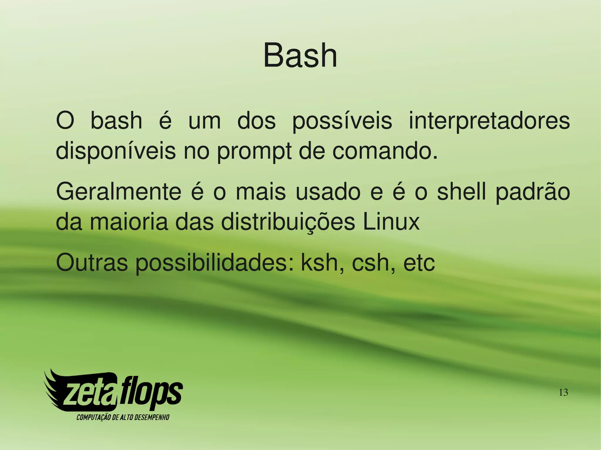 Bash
O  bash  é  um  dos  possíveis  interpretadores 
disponíveis no prompt de comando.
Geralmente é o mais usado e é o shell padrão 
da maioria das distribuições Linux
Outras possibilidades: ksh, csh, etc




                                              13
 