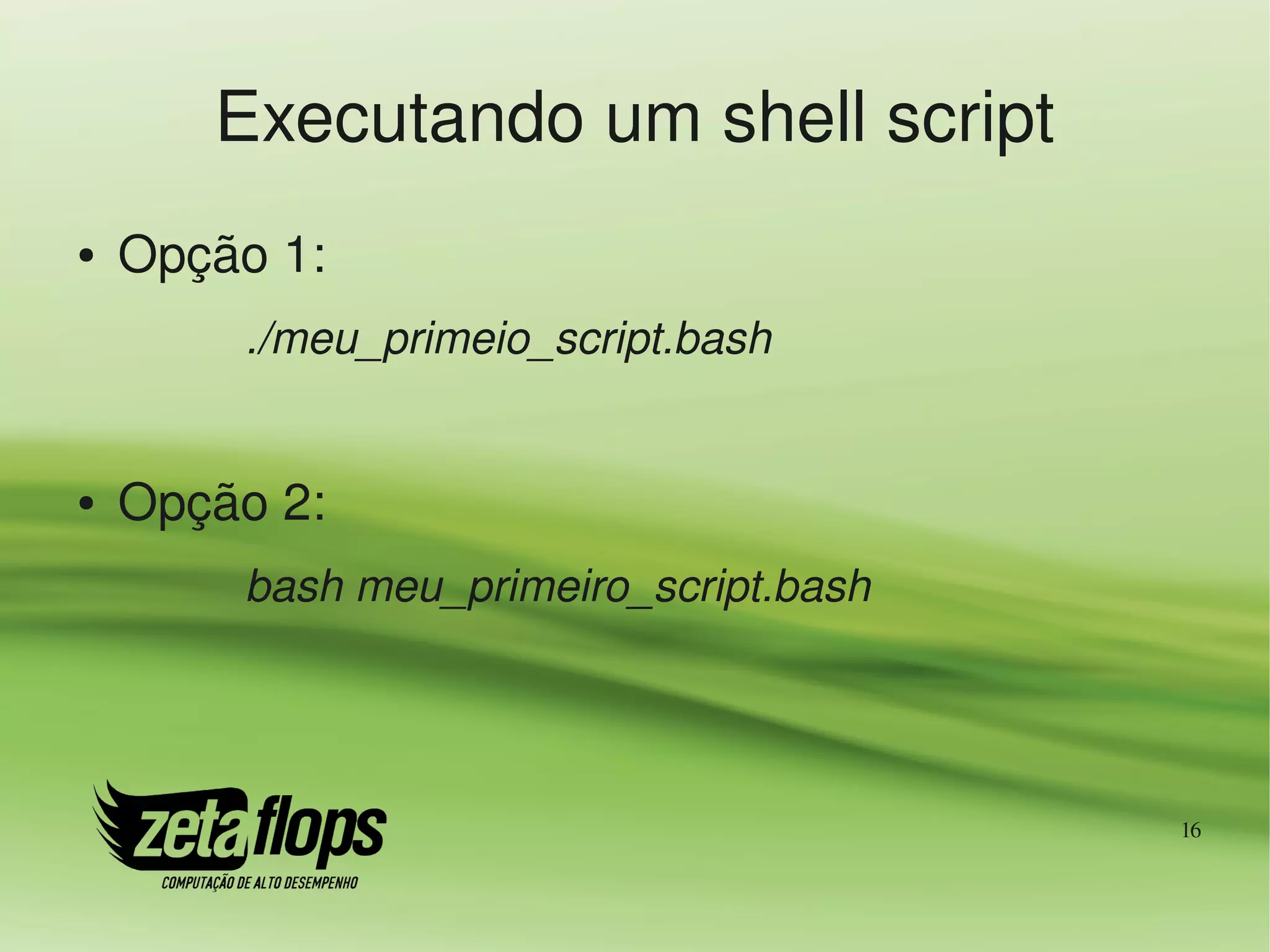 Executando um shell script
●   Opção 1:
        ./meu_primeio_script.bash


●   Opção 2:
        bash meu_primeiro_script.bash




                                        16
 