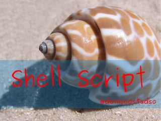 Shell Script
       @deniscostadsc
 