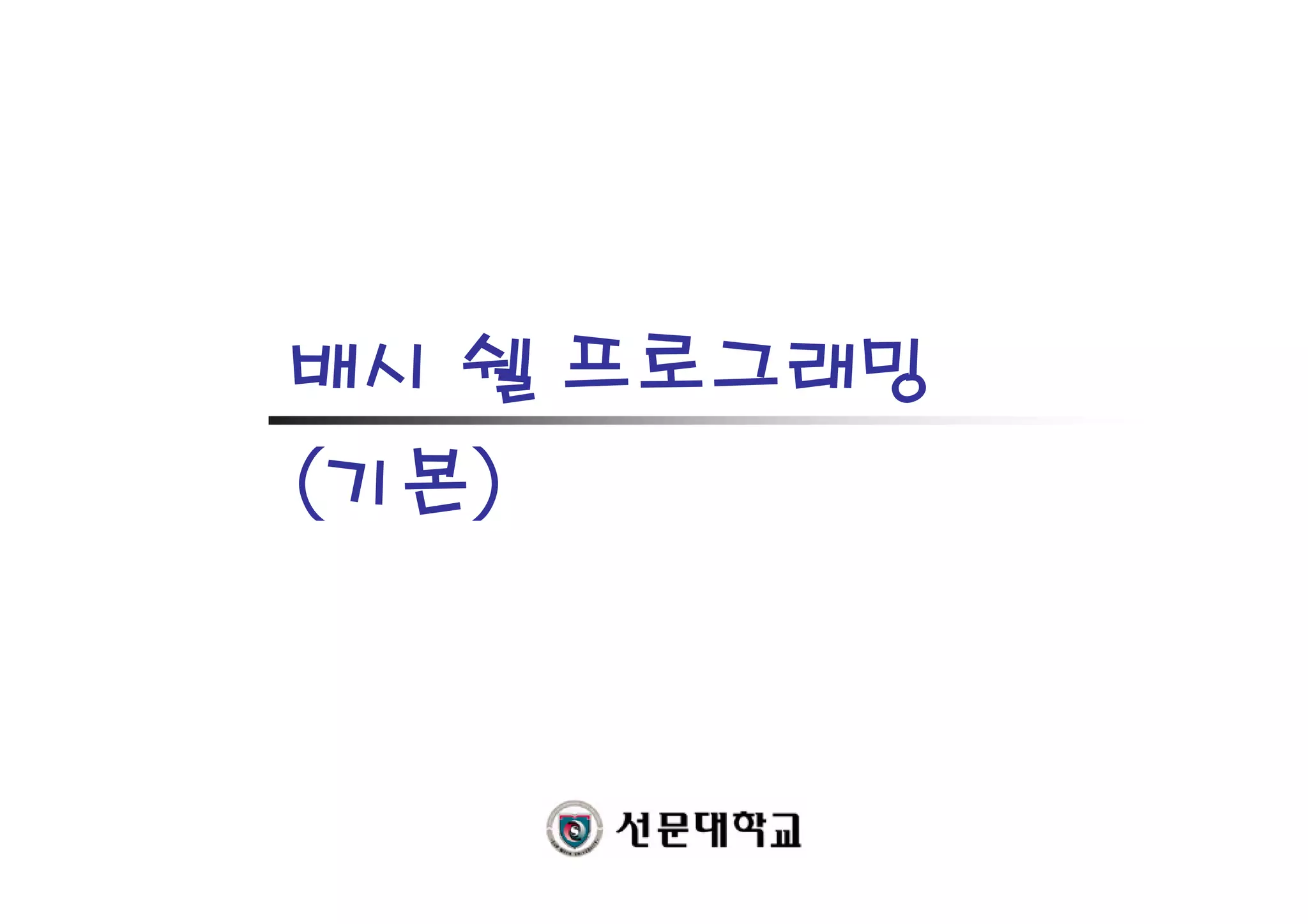 배시 쉘 프로그래밍
(기본)
 