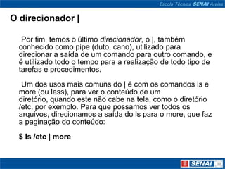 O direcionador |

   Por fim, temos o último direcionador, o |, também
  conhecido como pipe (duto, cano), utilizado para
  direcionar a saída de um comando para outro comando, e
  é utilizado todo o tempo para a realização de todo tipo de
  tarefas e procedimentos.
   Um dos usos mais comuns do | é com os comandos ls e
  more (ou less), para ver o conteúdo de um
  diretório, quando este não cabe na tela, como o diretório
  /etc, por exemplo. Para que possamos ver todos os
  arquivos, direcionamos a saída do ls para o more, que faz
  a paginação do conteúdo:
  $ ls /etc | more
 