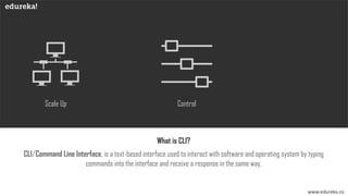 Shell Scripting Tutorial | Edureka | PDF