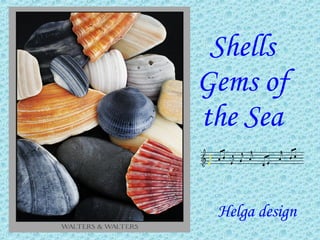 Shells Gems of the Sea Helga design 