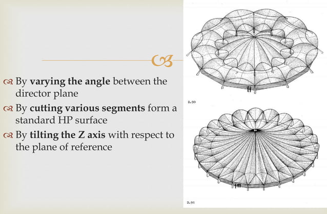 Shells ppt | PPT | Free Download