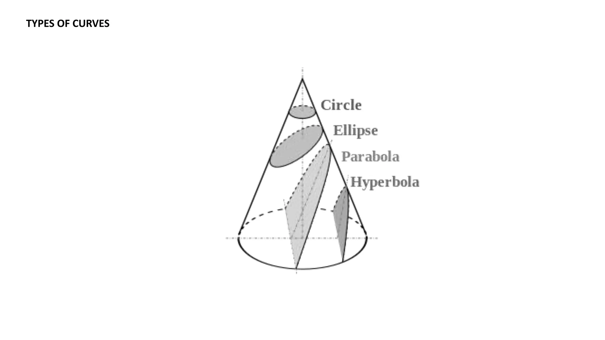 Shell structure | PPTX
