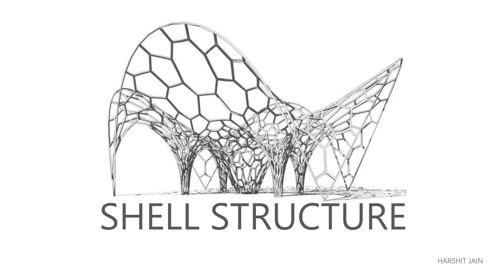Shell structure Conctruction.pptx