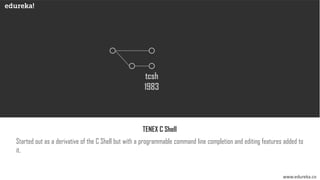 Bash vs C Shell vs Korn Shell | Edureka | PDF