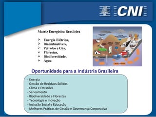 Matriz Energética Brasileira

          Energia Elétrica,
          Bicombustíveis,
          Petróleo e Gás,
          Florestas,
          Biodiversidade,
          Água


  Oportunidade para a Indústria Brasileira
- Energia
- Gestão de Resíduos Sólidos
- Clima e Emissões
- Saneamento
- Biodiversidade e Florestas
- Tecnologia e Inovação
- Inclusão Social e Educação
- Melhores Práticas de Gestão e Governança Corporativa
 