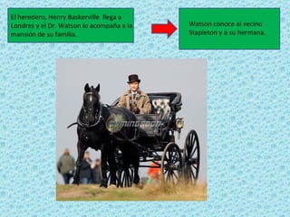 El heredero, Henry Baskerville llega a
Londres y el Dr. Watson lo acompaña a la   Watson conoce al vecino
mansión de su familia.                     Stapleton y a su hermana.
 