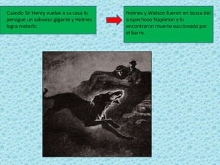 Cuando Sir Henry vuelve a su casa lo   Holmes y Watson fueron en busca del
persigue un sabueso gigante y Holmes   sospechoso Stapleton y lo
logra matarlo.                         encontraron muerto succionado por
                                       el barro.
 