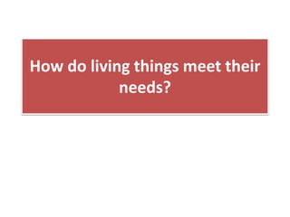How do living things meet their
needs?
 