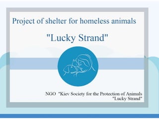 Shelter "Lucky Strand"