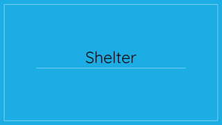 Shelter
 
