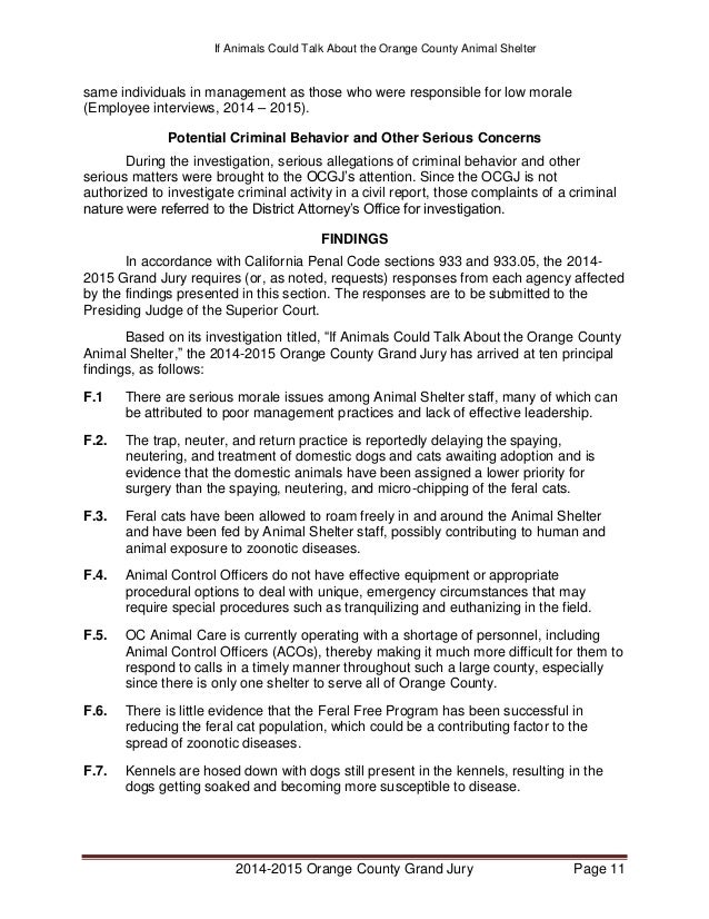 Imagine if animals could talk essay image