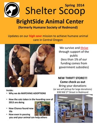 Shelter Scoop
BrightSide Animal Center
(formerly Humane Society of Redmond)
Updates on our high save mission to achieve humane animal
care in Central Oregon
Spring 2014
We survive and thrive
through support of the
public
(less than 1% of our
funding comes from
government subsidies)
NEW THRIFT STORE!!!
Come check us out
Bring your donations
(or we will pickup for large donations)
838 NW 5th Street in Redmond
Inside:
• Why we do MATCHING ADOPTIONS
• How the cats taken in the hoarding case of
2013 are doing
• How Chance found new
life
• How even in passing
you and your animal can help others
 
