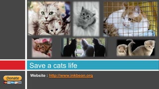 Save a cats life
Website : http://www.inkbean.org
 