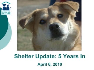 Shelter Update: 5 Years In
        April 6, 2010
 
