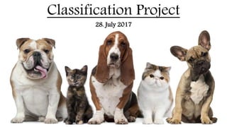 Classification Project
28. July 2017
 