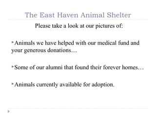 The East Haven Animal Shelter
           Please take a look at our pictures of:

Animals we have helped with our medical fund and
your generous donations…

Some   of our alumni that found their forever homes…

Animals   currently available for adoption.
 