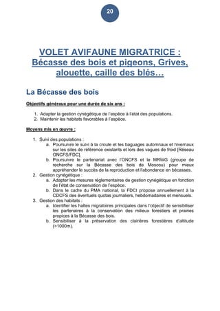 20
VOLET AVIFAUNE MIGRATRICE :
Bécasse des bois et pigeons, Grives,
alouette, caille des blés…
La Bécasse des bois
Objectifs généraux pour une durée de six ans :
1. Adapter la gestion cynégétique de l’espèce à l’état des populations.
2. Maintenir les habitats favorables à l’espèce.
Moyens mis en œuvre :
1. Suivi des populations :
a. Poursuivre le suivi à la croule et les baguages automnaux et hivernaux
sur les sites de référence existants et lors des vagues de froid [Réseau
ONCFS/FDC].
b. Poursuivre le partenariat avec l’ONCFS et le MRWG (groupe de
recherche sur la Bécasse des bois de Moscou) pour mieux
appréhender le succès de la reproduction et l’abondance en bécasses.
2. Gestion cynégétique :
a. Adapter les mesures réglementaires de gestion cynégétique en fonction
de l’état de conservation de l’espèce.
b. Dans le cadre du PMA national, la FDCI propose annuellement à la
CDCFS des éventuels quotas journaliers, hebdomadaires et mensuels.
3. Gestion des habitats :
a. Identifier les haltes migratoires principales dans l’objectif de sensibiliser
les partenaires à la conservation des milieux forestiers et prairies
propices à la Bécasse des bois.
b. Sensibiliser à la préservation des clairières forestières d’altitude
(>1000m).
 