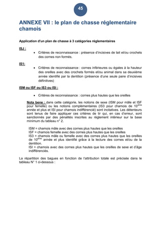 45
ANNEXE VII : le plan de chasse réglementaire
chamois
Application d'un plan de chasse à 3 catégories réglementaires
ISJ :
 Critères de reconnaissance : présence d’incisives de lait et/ou crochets
des cornes non formés.
IS1:
 Critères de reconnaissance : cornes inférieures ou égales à la hauteur
des oreilles avec des crochets formés et/ou animal dans sa deuxième
année identifié par la dentition (présence d’une seule paire d’incisives
définitives)
ISM ou ISF ou IS3 ou ISI :
 Critères de reconnaissance : cornes plus hautes que les oreilles
Nota bene : dans cette catégorie, les notions de sexe (ISM pour mâle et ISF
pour femelle) ou les notions complémentaires (IS3 pour chamois de 10ème
année et plus et ISI pour chamois indifférencié) sont incitatives. Les détenteurs
sont tenus de faire appliquer ces critères de tir qui, en cas d’erreur, sont
sanctionnés par des pénalités inscrites au règlement intérieur sur la base
minimum du tableau n° 2.
ISM = chamois mâle avec des cornes plus hautes que les oreilles
ISF = chamois femelle avec des cornes plus hautes que les oreilles
IS3 = chamois mâle ou femelle avec des cornes plus hautes que les oreilles
de 10ème
année et plus identifié grâce à la lecture des cornes et/ou de la
dentition.
ISI = chamois avec des cornes plus hautes que les oreilles de sexe et d’âge
indifférenciés.
La répartition des bagues en fonction de l’attribution totale est précisée dans le
tableau N° 1 ci-dessous :
 