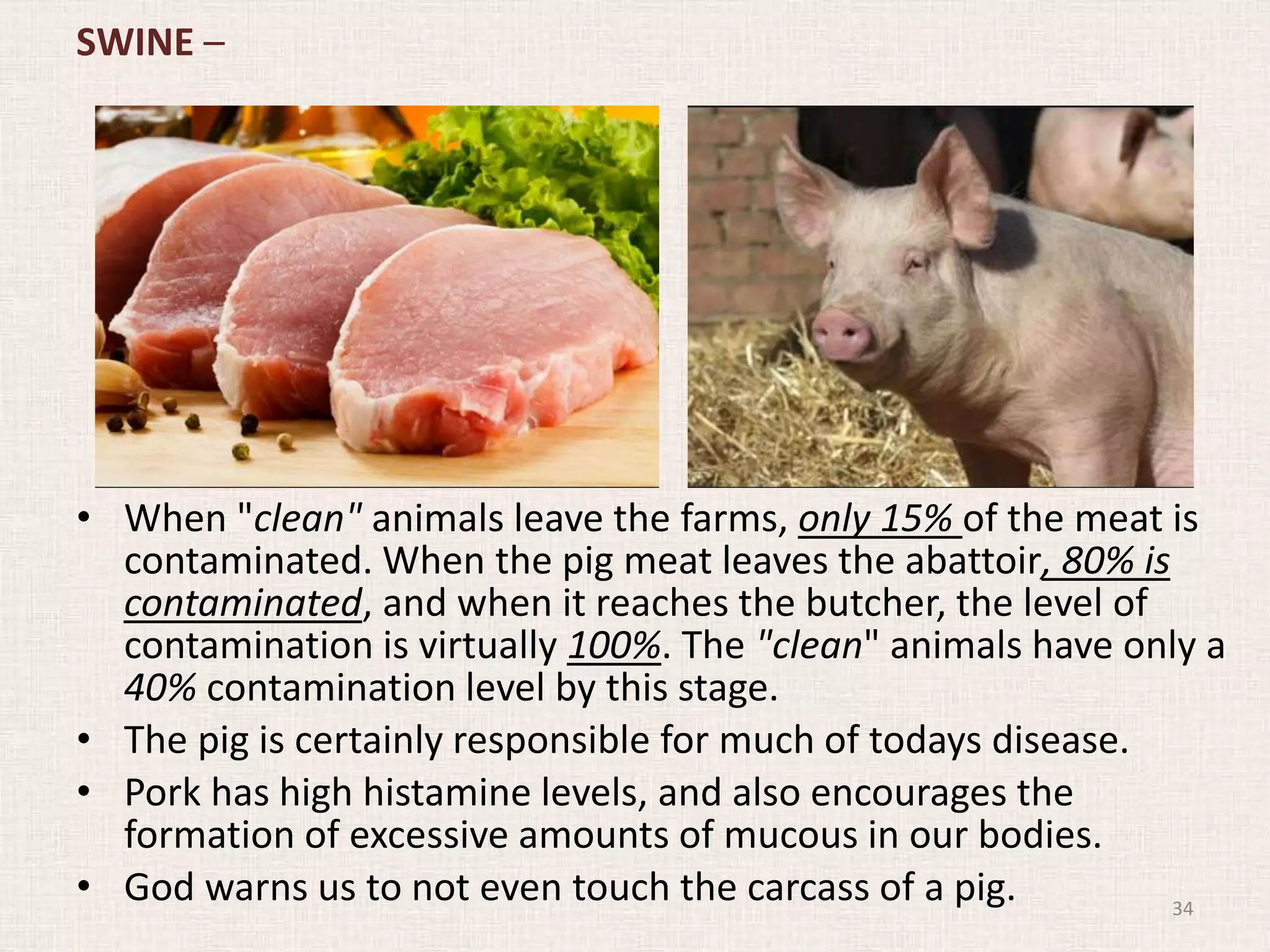 SWINE –
• When "clean" animals leave the farms, only 15% of the meat is
contaminated. When the pig meat leaves the abattoir, 80% is
contaminated, and when it reaches the butcher, the level of
contamination is virtually 100%. The "clean" animals have only a
40% contamination level by this stage.
• The pig is certainly responsible for much of todays disease.
• Pork has high histamine levels, and also encourages the
formation of excessive amounts of mucous in our bodies.
• God warns us to not even touch the carcass of a pig. 34
 