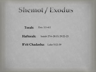 Torah:     Exo. 1:1–6:1


Haftorah:     Isaiah 27:6–28:13; 29:22–23


B’rit Chadasha:     Luke 5:12–39
 