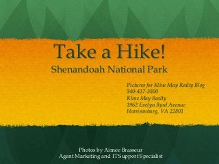 Take a Hike!
Shenandoah National Park
Pictures for Kline May Realty Blog
540-437-3500
Kline May Realty
1962 Evelyn Byrd Avenue
Harrisonburg, VA 22801
Photos by Aimee Brasseur
Agent Marketing and IT Support Specialist
 
