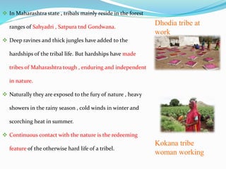 Tribes Of Maharashtra PPT