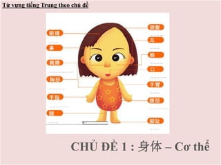 Từ vựng tiếng Trung theo chủ đề
CHỦ ĐỀ 1 : 身体 – Cơ thể
 