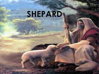 SHEPARD 