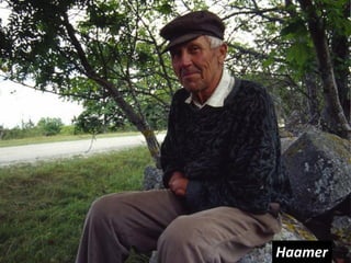Haamer
 
