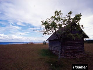 Haamer
 