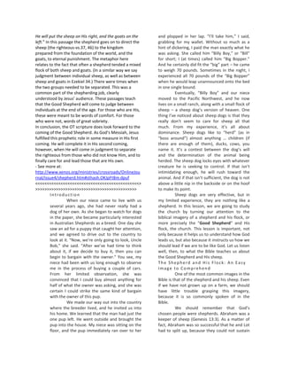 He will put the sheep on His right, and the goats on the      and plopped in her lap. “I’ll take him,” I said,
left.” In this passage the shepherd goes on to direct the     grabbing for my wallet. Without so much as a
sheep (the righteous-vs.37, 46) to the kingdom                hint of dickering, I paid the man exactly what he
prepared from the foundation of the world, and the            was asking. She called him “Billy Boy,” or “Bill”
goats, to eternal punishment. The metaphor here               for short; I (at times) called him “Big Bopper.”
relates to the fact that often a shepherd tended a mixed      And he certainly did fit the “big” part – he came
flock of both sheep and goats. (In a similar way we say       to weigh 70 pounds. Sometimes in the night, I
judgment between individual sheep, as well as between         experienced all 70 pounds of the “Big Bopper”
sheep and goats in Ezekiel 34.) There were times when         when he would leap unannounced onto the bed
the two groups needed to be separated. This was a             in one single bound.
common part of the shepherding job, clearly                             Eventually, “Billy Boy” and our niece
understood by Jesus’ audience. These passages teach           moved to the Pacific Northwest, and he now
that the Good Shepherd will come to judge between             lives on a small ranch, along with a small flock of
individuals at the end of the age. For those who are His,     sheep – a sheep dog’s version of heaven. One
these were meant to be words of comfort. For those            thing I’ve noticed about sheep dogs is that they
who were not, words of great sobriety.                        really don’t seem to care for sheep all that
In conclusion, the OT scripture does look forward to the      much. From my experience, it’s all about
coming of the Good Shepherd. As God’s Messiah, Jesus          dominance. Sheep dogs like to “herd” (as in
fulfilled this prophetic role in some measure in His first    “boss around”) almost anything … children (if
coming. He will complete it in His second coming,             there are enough of them), ducks, cows, you
however, when He will come in judgment to separate            name it. It’s a contest between the dog’s will
the righteous from those who did not know Him, and to         and the determination of the animal being
finally care for and lead those that are His own.             herded. The sheep dog locks eyes with whatever
- See more at:                                                creature he is seeking to control. If that isn’t
http://www.xenos.org/ministries/crossroads/OnlineJou          intimidating enough, he will rush toward the
rnal/issue4/shepherd.htm#sthash.OKJpFt8m.dpuf                 animal. And if that isn’t sufficient, the dog is not
<<<<<<<<<<<<<<<<<<<<<<<<<<<<<<<<<<<<<<<<<<<<<>                above a little nip in the backside or on the hoof
>>>>>>>>>>>>>>>>>>>>>>>>>>>>>>>>>>>>>>>>>>>>                  to make its point.
          Introduction                                                  Sheep dogs are very effective, but in
                    When our niece came to live with us       my limited experience, they are nothing like a
          several years ago, she had never really had a       shepherd. In this lesson, we are going to study
          dog of her own. As she began to watch for dogs      the church by turning our attention to the
          in the paper, she became particularly interested    biblical imagery of a shepherd and his flock, or
          in Australian Shepherds as a breed. One day she     more precisely the “Good Shepherd” and His
          saw an ad for a puppy that caught her attention,    flock, the church. This lesson is important, not
          and we agreed to drive out to the country to        only because it helps us to understand how God
          look at it. “Now, we’re only going to look, Uncle   leads us, but also because it instructs us how we
          Bob,” she said. “After we’ve had time to think      should lead if we are to be like God. Let us listen
          about it, if we decide to buy it, then you can      well, then, to what the Bible teaches us about
          begin to bargain with the owner.” You see, my       the Good Shepherd and His sheep.
          niece had been with us long enough to observe       The Shepherd and His Flock: An Easy
          me in the process of buying a couple of cars.       Image to Comprehend
          From her limited observation, she was                         One of the most common images in the
          convinced that I could buy almost anything for      Bible is that of the shepherd and his sheep. Even
          half of what the owner was asking, and she was      if we have not grown up on a farm, we should
          certain I could strike the same kind of bargain     have little trouble grasping this imagery,
          with the owner of this pup.                         because it is so commonly spoken of in the
                    We made our way out into the country      Bible.
          where the breeder lived, and he invited us into               We should remember that God’s
          his home. We learned that the man had just the      chosen people were shepherds. Abraham was a
          one pup left. He went outside and brought the       keeper of sheep (Genesis 13:3). As a matter of
          pup into the house. My niece was sitting on the     fact, Abraham was so successful that he and Lot
          floor, and the pup immediately ran over to her      had to split up, because they could not sustain
 