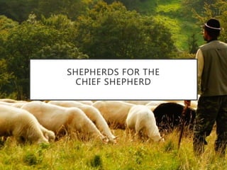 SHEPHERDS FOR THE
CHIEF SHEPHERD
 